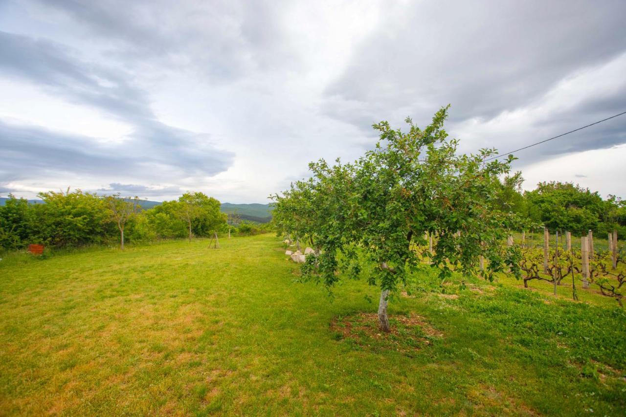 Casa Di Oliva-House With Heated Pool & Jacuzzi In Trilj, Croatiaヴィラ エクステリア 写真
