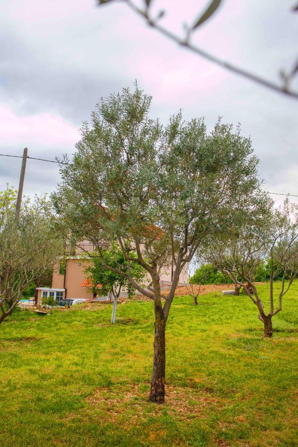 Casa Di Oliva-House With Heated Pool & Jacuzzi In Trilj, Croatiaヴィラ エクステリア 写真